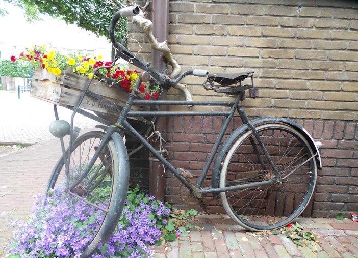fietsdalfsen(3)